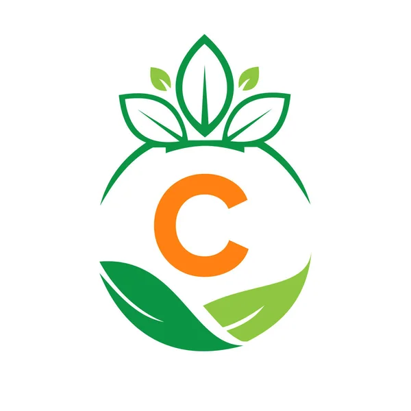 Ecología Salud Letra Eco Orgánica Logo Fresco Agricultura Granja Hortalizas — Vector de stock