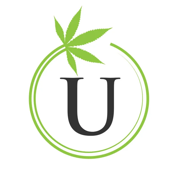 Cannabis Logotipo Maconha Letra Conceito Para Saúde Terapia Médica Marijuana — Vetor de Stock