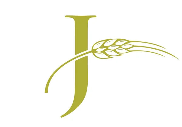 Letter Agriculture Logo Farming Sign Agriculture Logo Alphabet Template Vector — Stock Vector