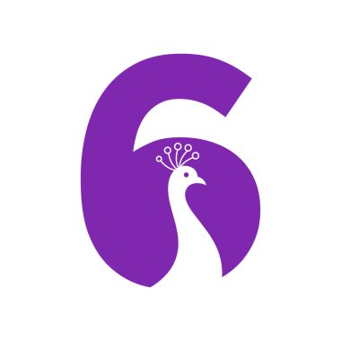 Letter 6 Beautiful Peacock Logo Template Vector Template Colorful Logotype