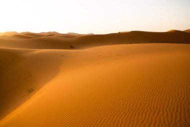 Fas 'taki Sahra Çölü' nde güzel kum tepeleri. Afrika 'da manzara Çölde.