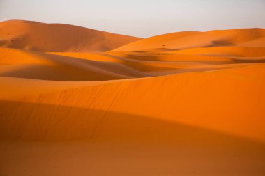 Fas 'taki Sahra Çölü' nde güzel kum tepeleri. Afrika 'da manzara Çölde.