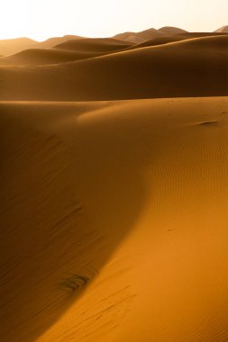 Fas 'taki Sahra Çölü' nde güzel kum tepeleri. Afrika 'da manzara Çölde.