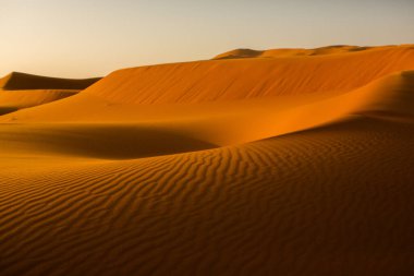 Fas 'taki Sahra Çölü' nde güzel kum tepeleri. Afrika 'da manzara Çölde.