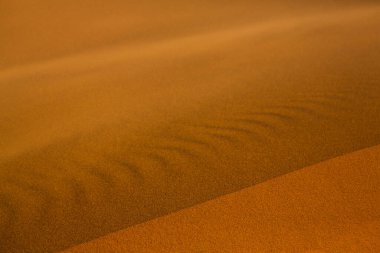 Fas 'taki Sahra Çölü' nde güzel kum tepeleri. Afrika 'da manzara Çölde.