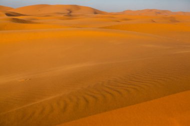 Fas 'taki Sahra Çölü' nde güzel kum tepeleri. Afrika 'da manzara Çölde.