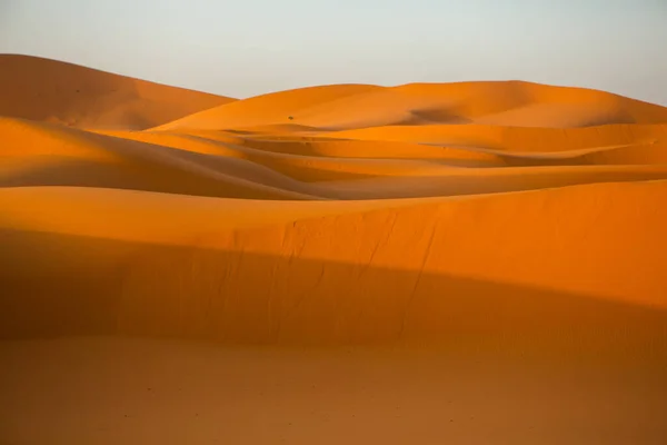 Belles Dunes Sable Dans Désert Sahara Maroc Paysage Afrique Dans — Photo