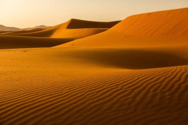 Όμορφοι Αμμόλοφοι Στην Έρημο Σαχάρα Στο Μαρόκο Τοπίο Στην Αφρική — Φωτογραφία Αρχείου