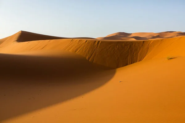 モロッコのサハラ砂漠の美しい砂丘 砂漠のアフリカの風景 — ストック写真