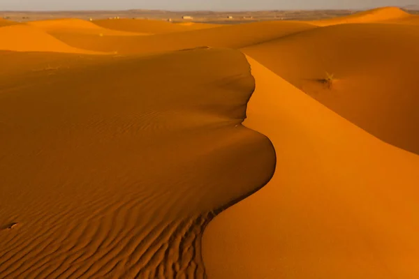 Όμορφοι Αμμόλοφοι Στην Έρημο Σαχάρα Στο Μαρόκο Τοπίο Στην Αφρική — Φωτογραφία Αρχείου