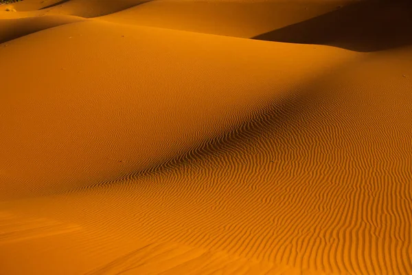 Belles Dunes Sable Dans Désert Sahara Maroc Paysage Afrique Dans — Photo
