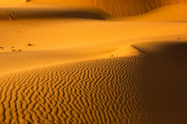 Beautiful Sand Dunes Sahara Desert Morocco Landscape Africa Desert — Stock Photo, Image