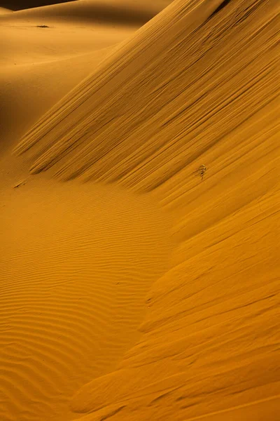 モロッコのサハラ砂漠の美しい砂丘 砂漠のアフリカの風景 — ストック写真