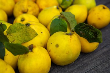 Ahşap arka planda izole edilmiş olgun sarı ayva meyveleri.
