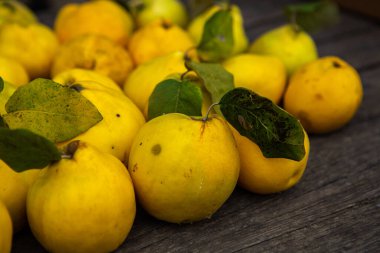 Ahşap arka planda izole edilmiş olgun sarı ayva meyveleri.