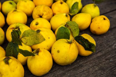 Ahşap arka planda izole edilmiş olgun sarı ayva meyveleri.