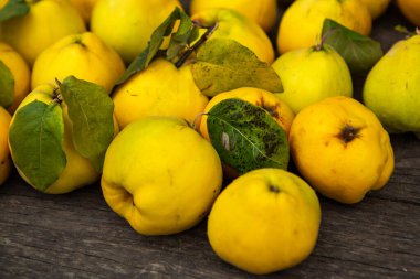 Ahşap arka planda izole edilmiş olgun sarı ayva meyveleri.