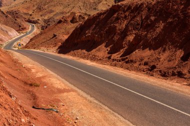 Fas, Afrika 'da geleneksel renkli küçük cadde