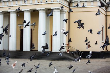 Chisinau 'nun Mimari ve Sokakları, Chisinau' daki Büyük Stephen Bulvarı. Moldova.
