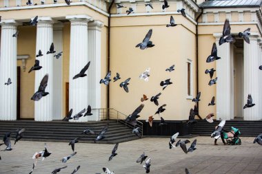 Chisinau 'nun Mimari ve Sokakları, Chisinau' daki Büyük Stephen Bulvarı. Moldova.