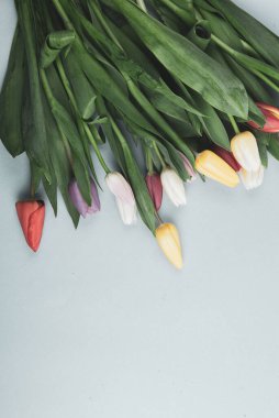 Üzerinde pembe ve beyaz renkli lale demeti olan pankart. Bahar kavramı, kadınlar günü, anneler günü, 8 Mart, bayram tebrikleri.