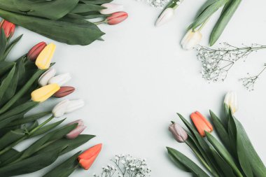 Üzerinde pembe ve beyaz renkli lale demeti olan pankart. Bahar kavramı, kadınlar günü, anneler günü, 8 Mart, bayram tebrikleri.