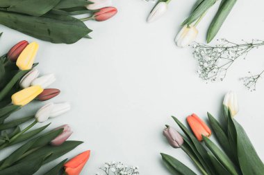 Üzerinde pembe ve beyaz renkli lale demeti olan pankart. Bahar kavramı, kadınlar günü, anneler günü, 8 Mart, bayram tebrikleri.