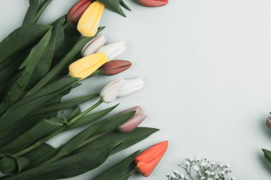 Üzerinde pembe ve beyaz renkli lale demeti olan pankart. Bahar kavramı, kadınlar günü, anneler günü, 8 Mart, bayram tebrikleri.