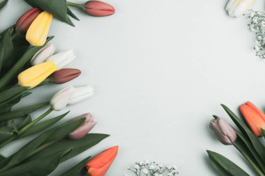 Üzerinde pembe ve beyaz renkli lale demeti olan pankart. Bahar kavramı, kadınlar günü, anneler günü, 8 Mart, bayram tebrikleri.
