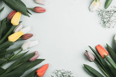 Üzerinde pembe ve beyaz renkli lale demeti olan pankart. Bahar kavramı, kadınlar günü, anneler günü, 8 Mart, bayram tebrikleri.