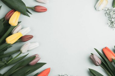 Üzerinde pembe ve beyaz renkli lale demeti olan pankart. Bahar kavramı, kadınlar günü, anneler günü, 8 Mart, bayram tebrikleri.