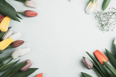 Üzerinde pembe ve beyaz renkli lale demeti olan pankart. Bahar kavramı, kadınlar günü, anneler günü, 8 Mart, bayram tebrikleri.