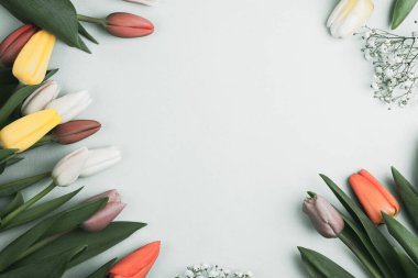 Üzerinde pembe ve beyaz renkli lale demeti olan pankart. Bahar kavramı, kadınlar günü, anneler günü, 8 Mart, bayram tebrikleri.