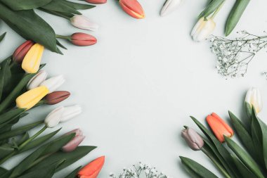 Üzerinde pembe ve beyaz renkli lale demeti olan pankart. Bahar kavramı, kadınlar günü, anneler günü, 8 Mart, bayram tebrikleri.