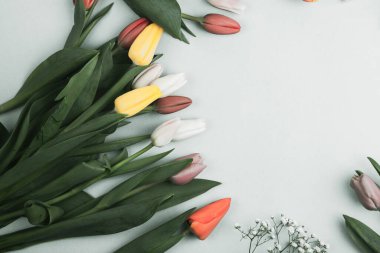 Üzerinde pembe ve beyaz renkli lale demeti olan pankart. Bahar kavramı, kadınlar günü, anneler günü, 8 Mart, bayram tebrikleri.