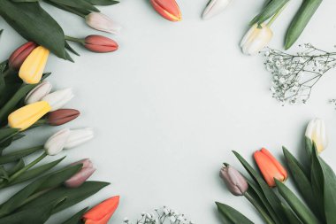 Üzerinde pembe ve beyaz renkli lale demeti olan pankart. Bahar kavramı, kadınlar günü, anneler günü, 8 Mart, bayram tebrikleri.