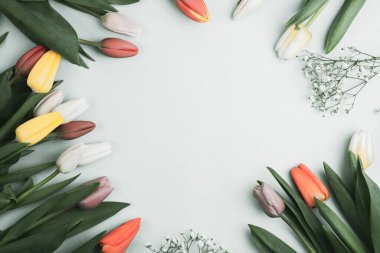 Üzerinde pembe ve beyaz renkli lale demeti olan pankart. Bahar kavramı, kadınlar günü, anneler günü, 8 Mart, bayram tebrikleri.