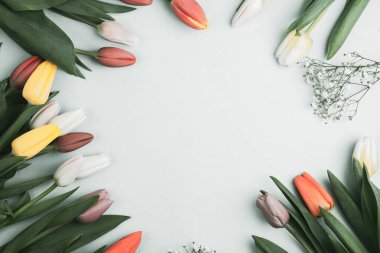 Üzerinde pembe ve beyaz renkli lale demeti olan pankart. Bahar kavramı, kadınlar günü, anneler günü, 8 Mart, bayram tebrikleri.