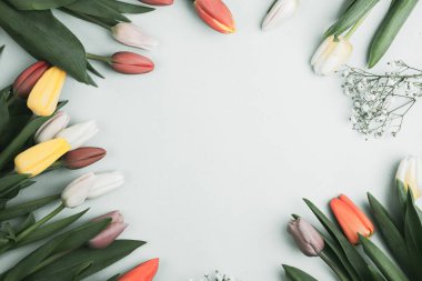 Üzerinde pembe ve beyaz renkli lale demeti olan pankart. Bahar kavramı, kadınlar günü, anneler günü, 8 Mart, bayram tebrikleri.