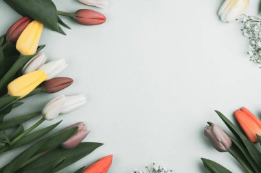 Üzerinde pembe ve beyaz renkli lale demeti olan pankart. Bahar kavramı, kadınlar günü, anneler günü, 8 Mart, bayram tebrikleri.