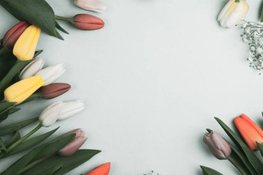 Üzerinde pembe ve beyaz renkli lale demeti olan pankart. Bahar kavramı, kadınlar günü, anneler günü, 8 Mart, bayram tebrikleri.