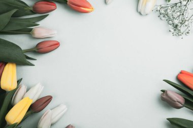 Üzerinde pembe ve beyaz renkli lale demeti olan pankart. Bahar kavramı, kadınlar günü, anneler günü, 8 Mart, bayram tebrikleri.