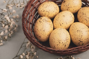 El boyası pastel renkli Paskalya yumurtaları. Mutlu Paskalya tebrik kartları ya da davetiyeler.