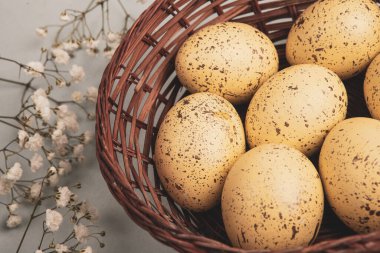 El boyası pastel renkli Paskalya yumurtaları. Mutlu Paskalya tebrik kartları ya da davetiyeler.