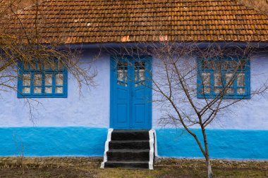 Moldova 'nın Rogojeni köyünden güzel geleneksel Moldova renkli evler