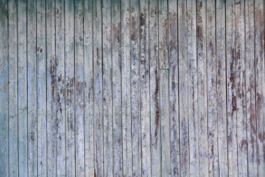 Tasarım ya da metin için boyanmış tahta. Eski boyalı ahşap duvar.