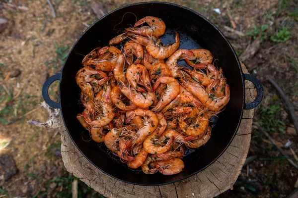 在野外用煎锅煮的脆鲜虾 享用新鲜食物 在大自然中休息 — 图库照片