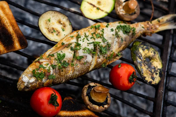 新鲜煮熟的鱼 带有蔬菜和面包 用烤鱼在大自然中成功地捕鱼 — 图库照片