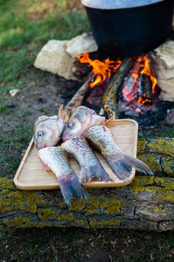 Açık ateşte hazırlanmış balık çorbası. Çaydanlıkta açık ateşte balık çorbası pişirmek. Turizm ve balıkçılıkta yemek pişirmek