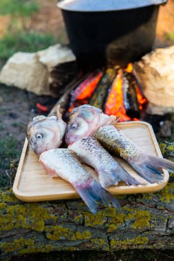 Açık ateşte hazırlanmış balık çorbası. Çaydanlıkta açık ateşte balık çorbası pişirmek. Turizm ve balıkçılıkta yemek pişirmek